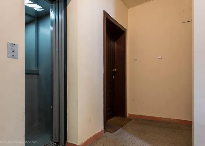 Center Artistic Nest